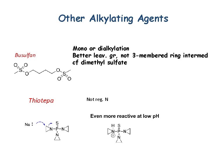 Other Alkylating Agents Busulfan Thiotepa Mono or dialkylation Better leav. gr, not 3 -membered
