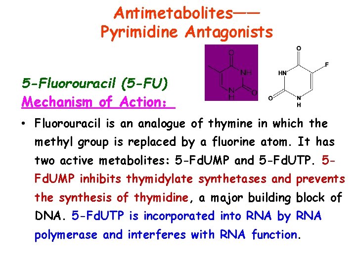 Antimetabolites—— Pyrimidine Antagonists 5 -Fluorouracil (5 -FU) Mechanism of Action： • Fluorouracil is an