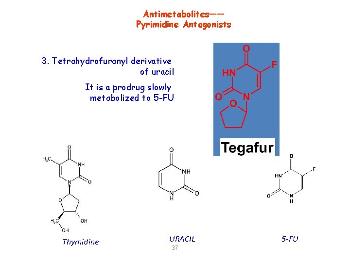 Antimetabolites—— Pyrimidine Antagonists 3. Tetrahydrofuranyl derivative of uracil It is a prodrug slowly metabolized