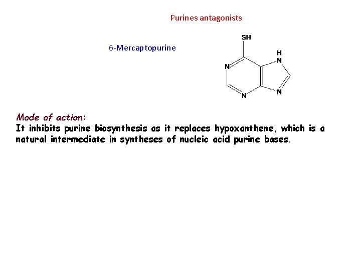 Purines antagonists 6 -Mercaptopurine Mode of action: It inhibits purine biosynthesis as it replaces
