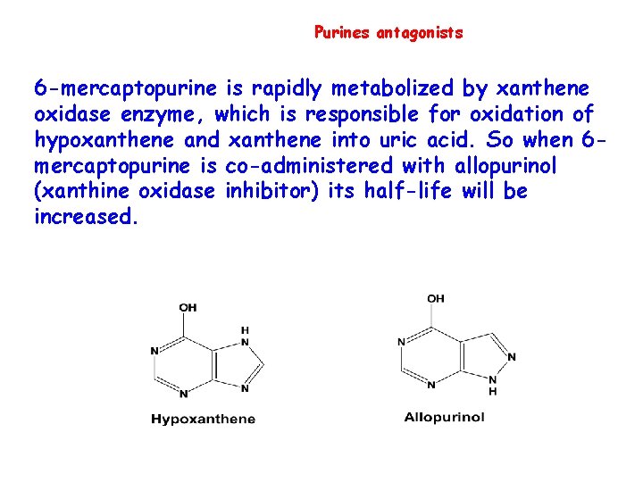 Purines antagonists 6 -mercaptopurine is rapidly metabolized by xanthene oxidase enzyme, which is responsible