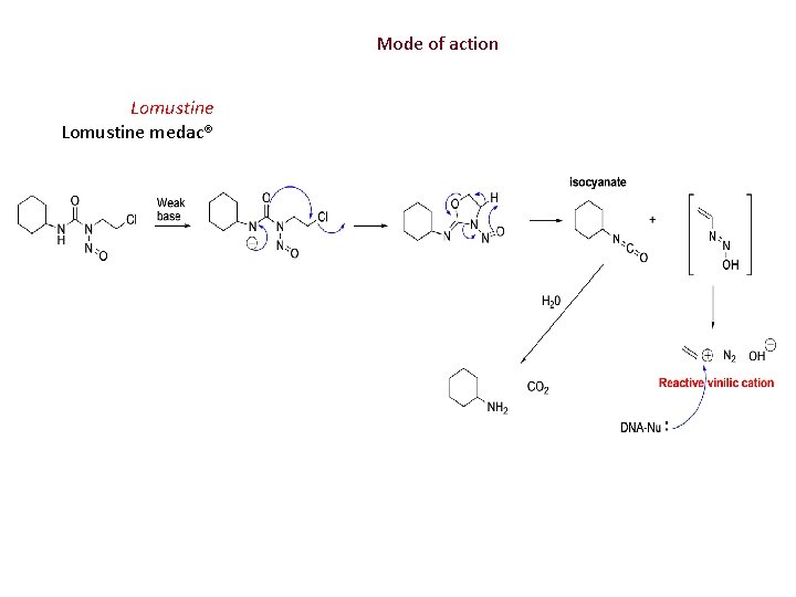 Mode of action Lomustine medac® 
