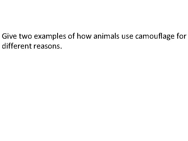 Give two examples of how animals use camouflage for different reasons. 