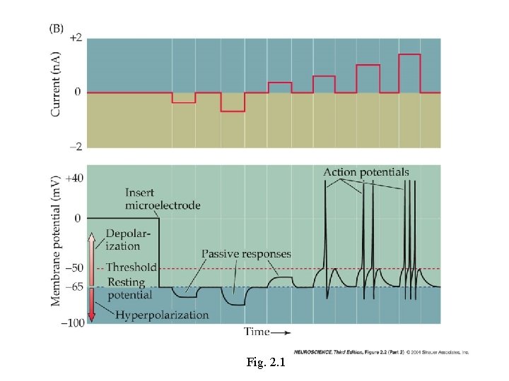 Fig. 2. 1 