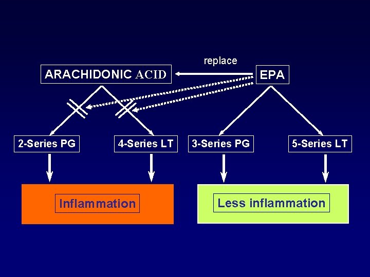 replace ARACHIDONIC ACID 2 -Series PG 4 -Series LT Inflammation EPA 3 -Series PG