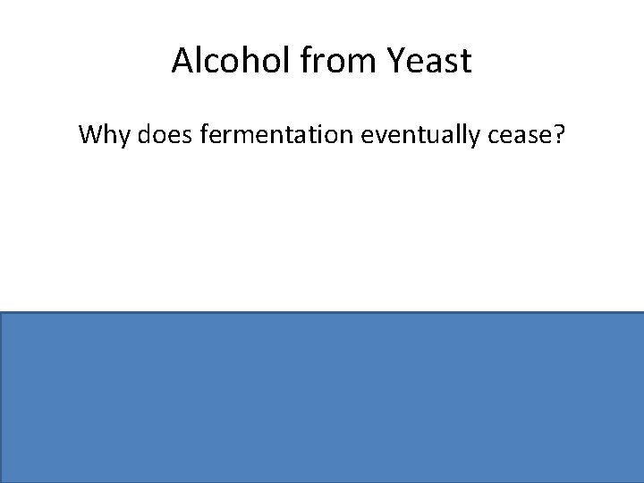 Alcohol from Yeast Why does fermentation eventually cease? Alcohol kills yeast or yeast dies