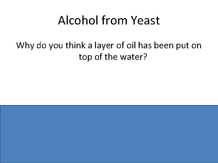 Alcohol from Yeast Why do you think a layer of oil has been put