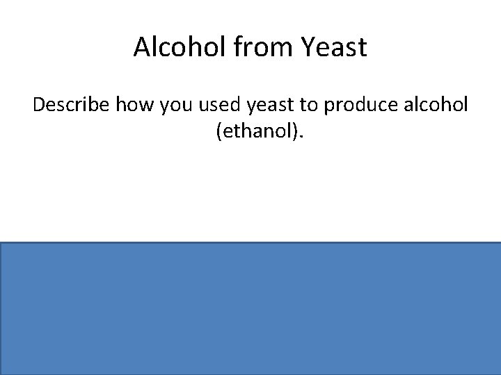 Alcohol from Yeast Describe how you used yeast to produce alcohol (ethanol). Container /