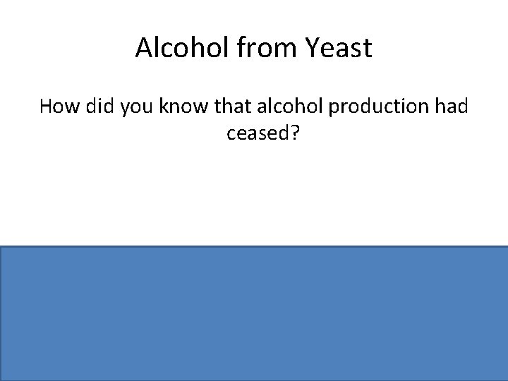 Alcohol from Yeast How did you know that alcohol production had ceased? Bubbling stops