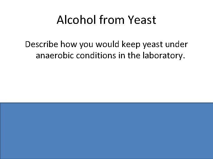 Alcohol from Yeast Describe how you would keep yeast under anaerobic conditions in the