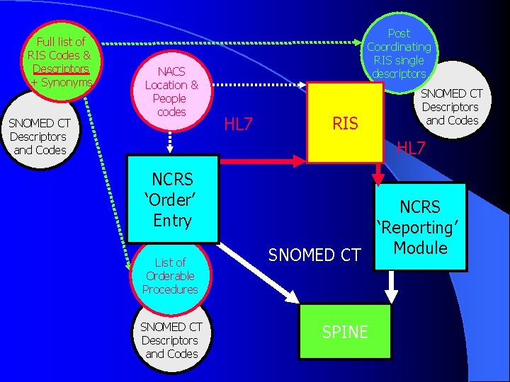 Full list of RIS Codes & Descriptors + Synonyms SNOMED CT Descriptors and Codes