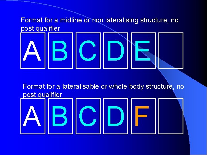 Format for a midline or non lateralising structure, no post qualifier ABCDE Format for