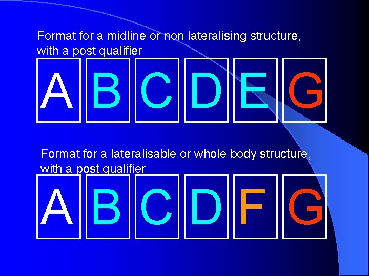 Format for a midline or non lateralising structure, with a post qualifier ABCDEG Format