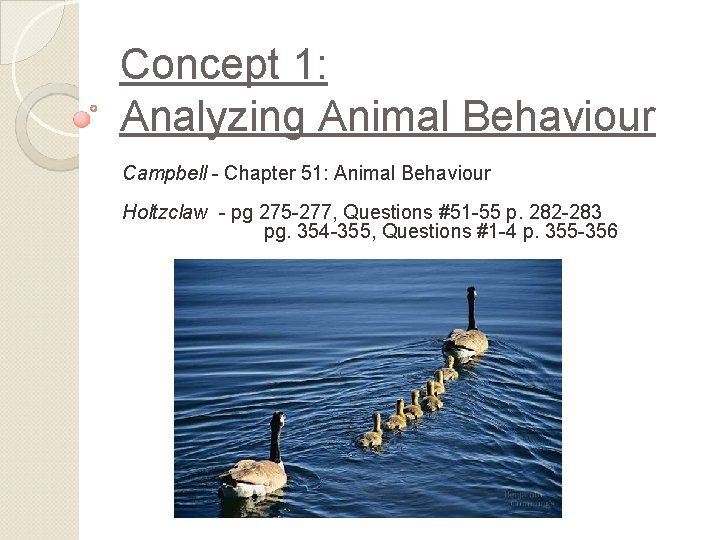 Concept 1: Analyzing Animal Behaviour Campbell - Chapter 51: Animal Behaviour Holtzclaw - pg