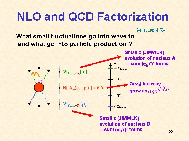 NLO and QCD Factorization Gelis, Lappi, RV What small fluctuations go into wave fn.