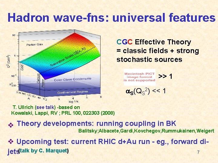 Hadron wave-fns: universal features CGC Effective Theory = classic fields + strong stochastic sources