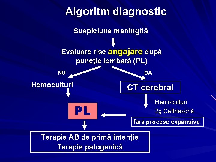 Algoritm diagnostic Suspiciune meningită Evaluare risc angajare după puncţie lombară (PL) NU DA Hemoculturi