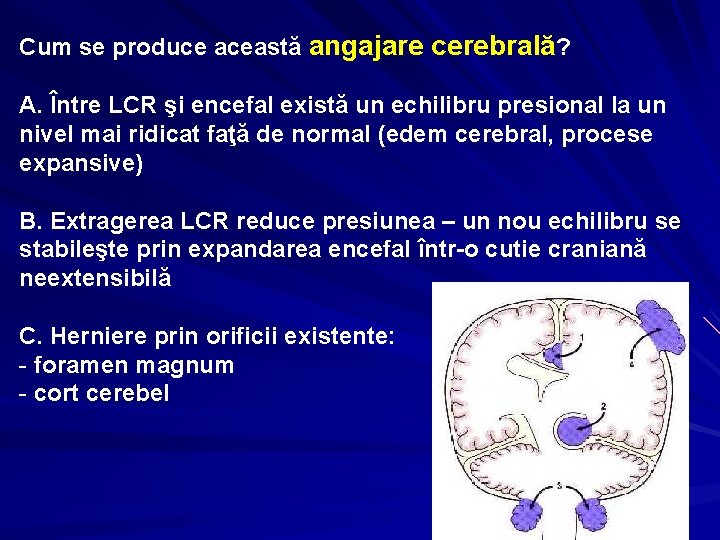 Cum se produce această angajare cerebrală? A. Între LCR şi encefal există un echilibru