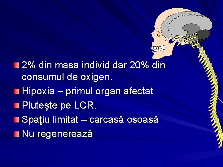 2% din masa individ dar 20% din consumul de oxigen. Hipoxia – primul organ