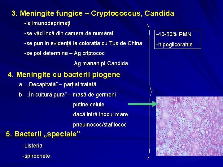 3. Meningite fungice – Cryptococcus, Candida -la imunodeprimați -se văd incă din camera de