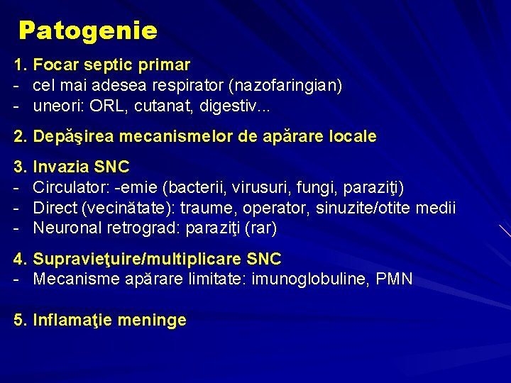 Patogenie 1. Focar septic primar - cel mai adesea respirator (nazofaringian) - uneori: ORL,