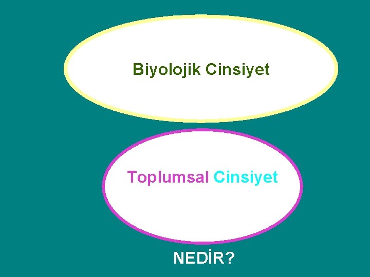 Biyolojik Cinsiyet Toplumsal Cinsiyet NEDİR? Biyolojik Cinsiyet Toplumsal Cinsiyet NEDİR?