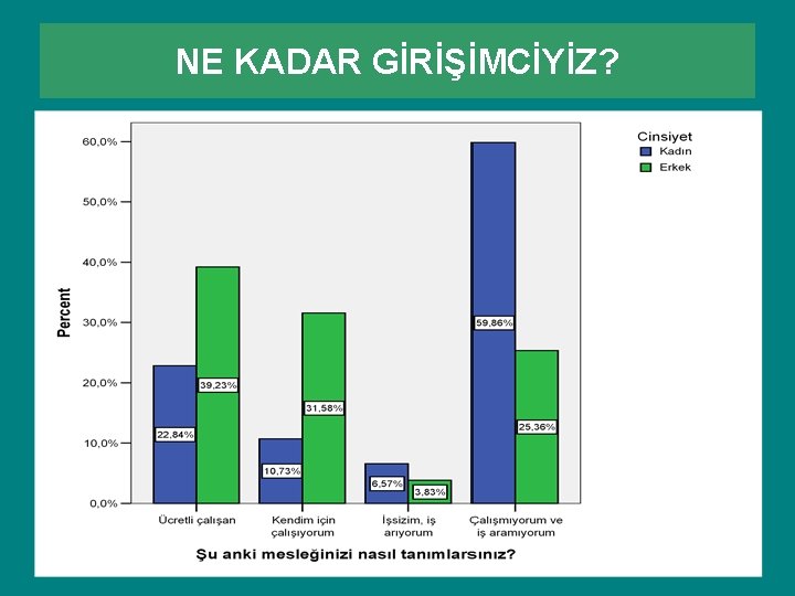 NE KADAR GİRİŞİMCİYİZ? NE KADAR GİRİŞİMCİYİZ?