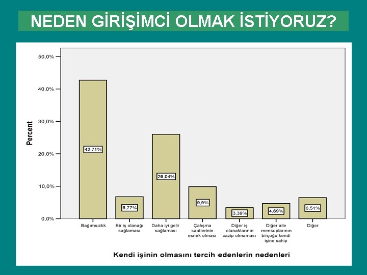 NEDEN GİRİŞİMCİ OLMAK İSTİYORUZ? NEDEN GİRİŞİMCİ OLMAK İSTİYORUZ?