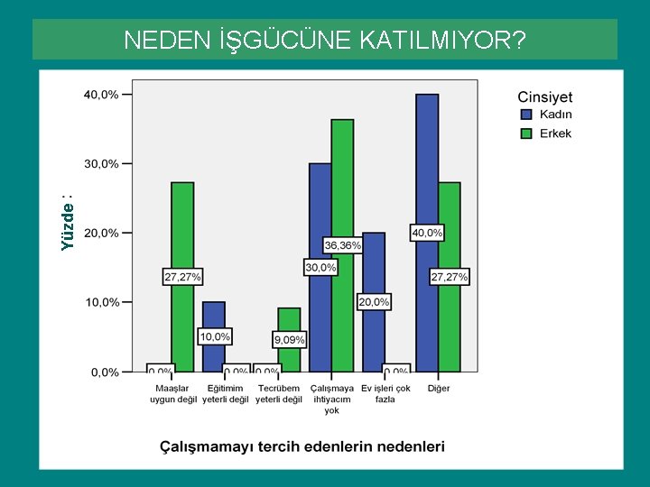 Yüzde NEDEN İŞGÜCÜNE KATILMIYOR? Yüzde NEDEN İŞGÜCÜNE KATILMIYOR?