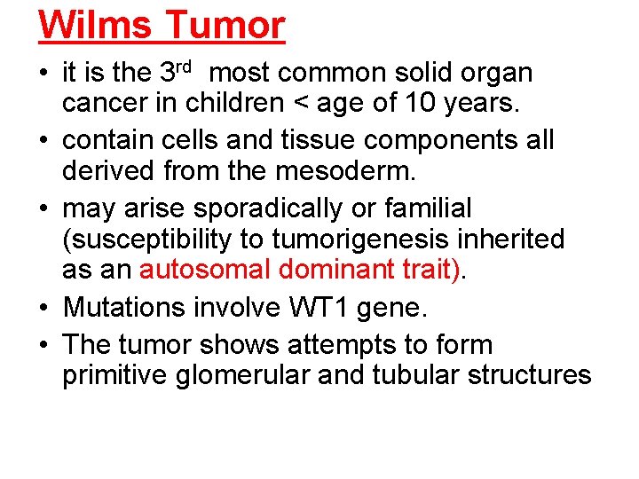 Wilms Tumor • it is the 3 rd most common solid organ cancer in