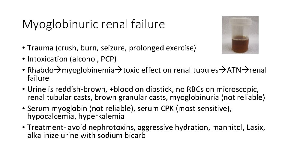 Myoglobinuric renal failure • Trauma (crush, burn, seizure, prolonged exercise) • Intoxication (alcohol, PCP)