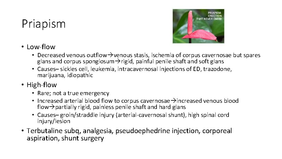 Priapism • Low-flow • Decreased venous outflow venous stasis, ischemia of corpus cavernosae but