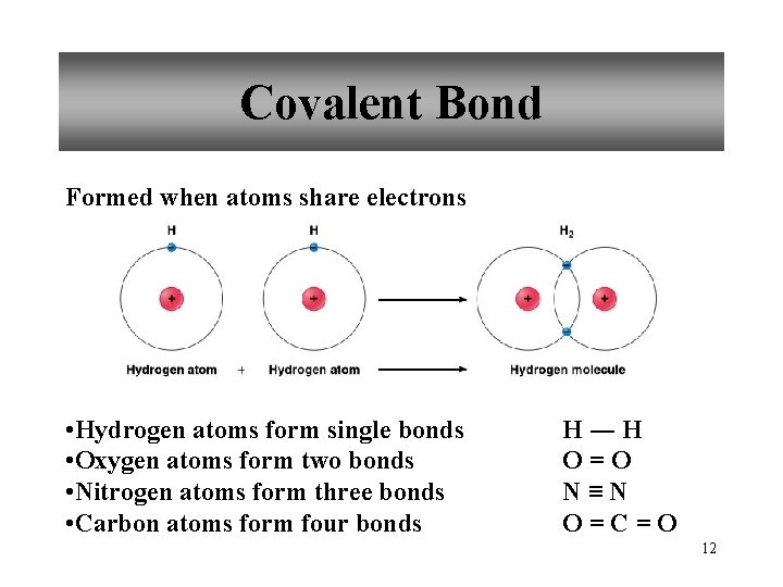 Covalent Bond Formed when atoms share electrons • Hydrogen atoms form single bonds •