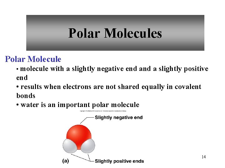 Polar Molecules Polar Molecule • molecule with a slightly negative end a slightly positive