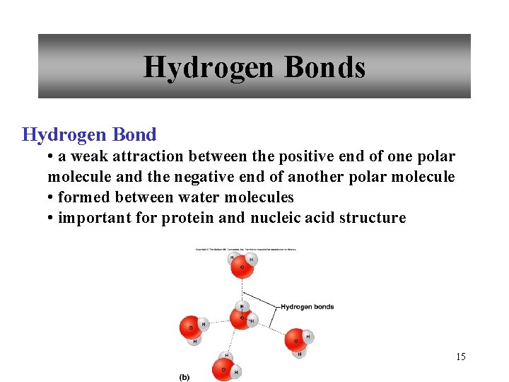 Hydrogen Bonds Hydrogen Bond • a weak attraction between the positive end of one