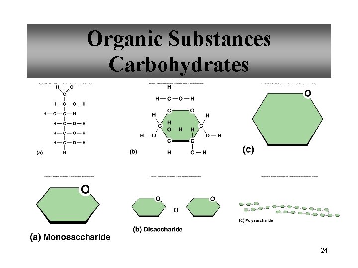 Organic Substances Carbohydrates 24 