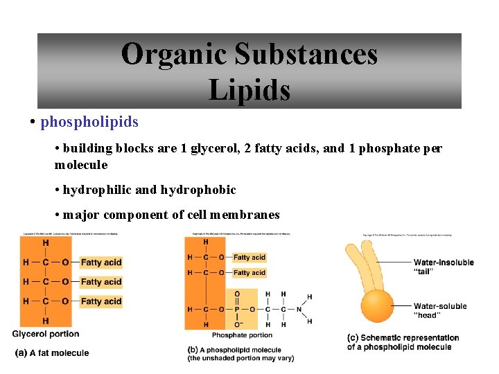 Organic Substances Lipids • phospholipids • building blocks are 1 glycerol, 2 fatty acids,