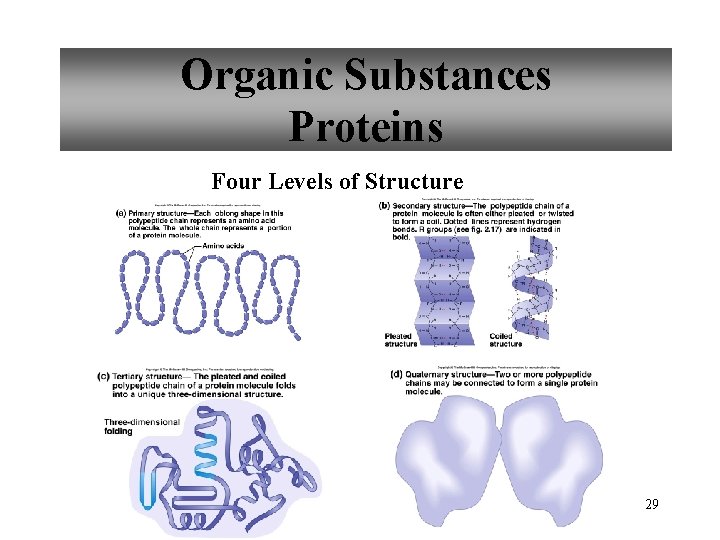 Organic Substances Proteins Four Levels of Structure 29 