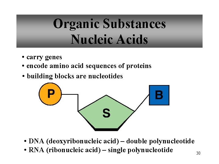 Organic Substances Nucleic Acids • carry genes • encode amino acid sequences of proteins