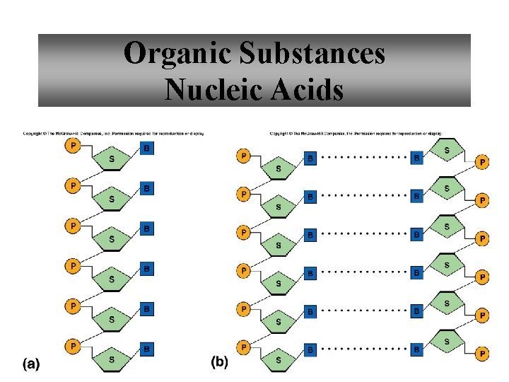 Organic Substances Nucleic Acids 31 