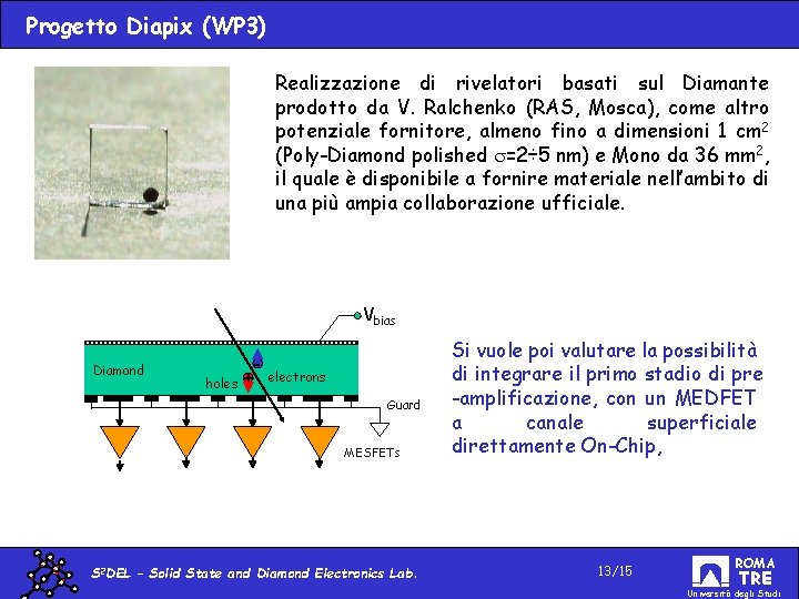 Progetto Diapix (WP 3) Realizzazione di rivelatori basati sul Diamante prodotto da V. Ralchenko