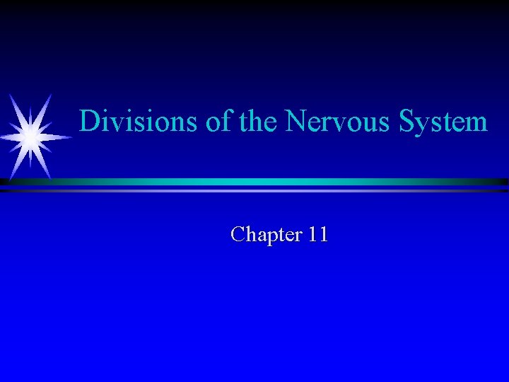 Divisions of the Nervous System Chapter 11 Divisions of the Nervous System Chapter 11