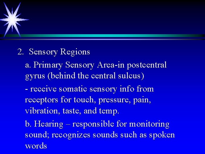 2. Sensory Regions a. Primary Sensory Area-in postcentral gyrus (behind the central sulcus) - 2. Sensory Regions a. Primary Sensory Area-in postcentral gyrus (behind the central sulcus) -