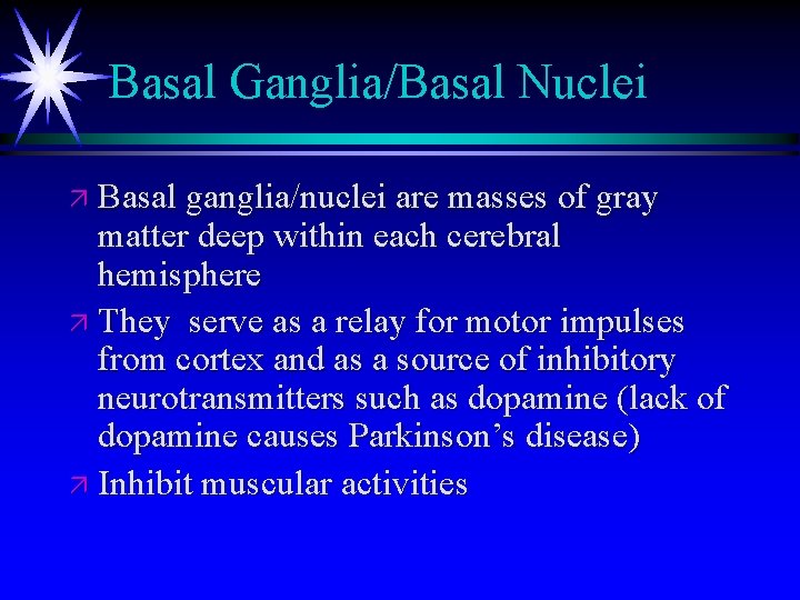 Basal Ganglia/Basal Nuclei ä Basal ganglia/nuclei are masses of gray matter deep within each Basal Ganglia/Basal Nuclei ä Basal ganglia/nuclei are masses of gray matter deep within each