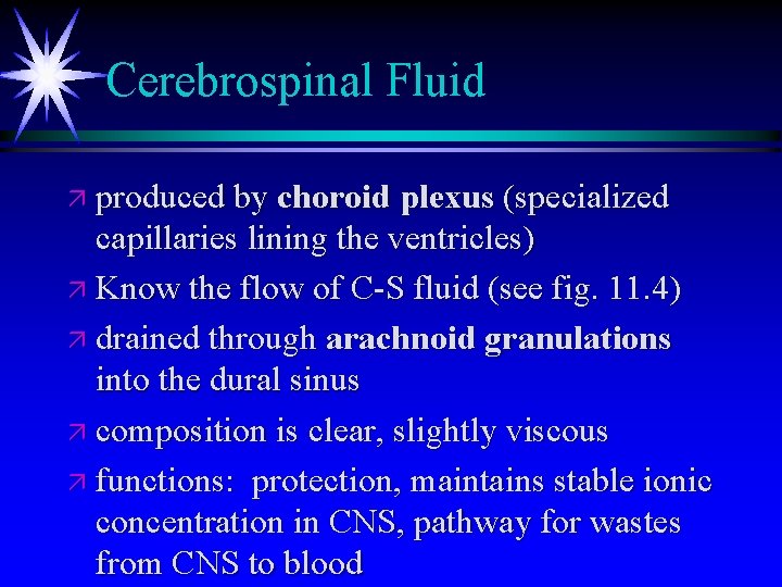 Cerebrospinal Fluid ä produced by choroid plexus (specialized capillaries lining the ventricles) ä Know Cerebrospinal Fluid ä produced by choroid plexus (specialized capillaries lining the ventricles) ä Know