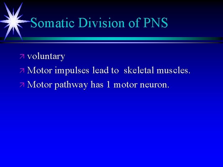 Somatic Division of PNS ä voluntary ä Motor impulses lead to skeletal muscles. ä Somatic Division of PNS ä voluntary ä Motor impulses lead to skeletal muscles. ä