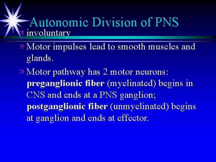 Autonomic Division of PNS ä involuntary ä Motor impulses lead to smooth muscles and Autonomic Division of PNS ä involuntary ä Motor impulses lead to smooth muscles and