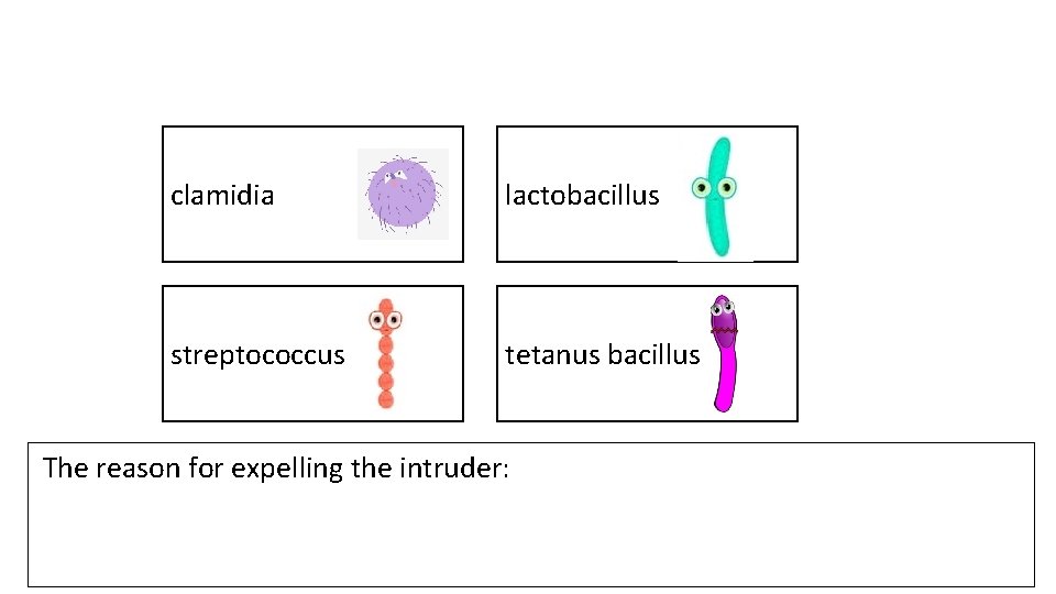 clamidia lactobacillus streptococcus tetanus bacillus The reason for expelling the intruder: 