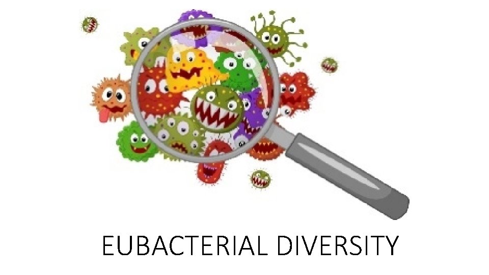 EUBACTERIAL DIVERSITY 