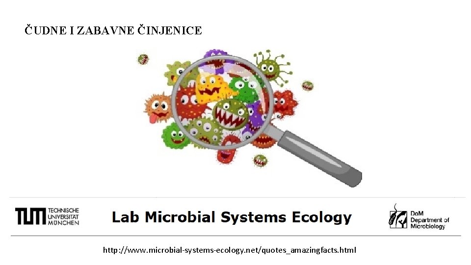 ČUDNE I ZABAVNE ČINJENICE http: //www. microbial-systems-ecology. net/quotes_amazingfacts. html 